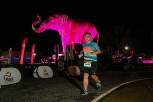 BIB: 
                            <button type="button" onclick="openModal(26534541)" class="btn btn-primary btn-sm float-right btn-popup" data-toggle="modal" data-target=".modal-high-quality">
                        <i class="fas fa-shopping-cart"></i> Add to Cart
                    </button>
                                            <button type="button" onclick="isThisMe(26534541, true)" class="btn btn-success btn-sm float-right btn-popup btn-isme hidden" data-toggle="tooltip" data-placement="bottom" title="นี่คือรูปของคุณใช่ไหม คลิกที่นี่เพื่อเอาเข้าอัลบั้ม">
                        <i class="fas fa-plus"></i> Add to album
                    </button>
                    <button type="button" onclick="isThisMe(26534541, false)" class="btn btn-warning btn-sm float-right btn-popup btn-isnotme hidden">
                        <i class="fas fa-ban"></i> Remove from album
                    </button>